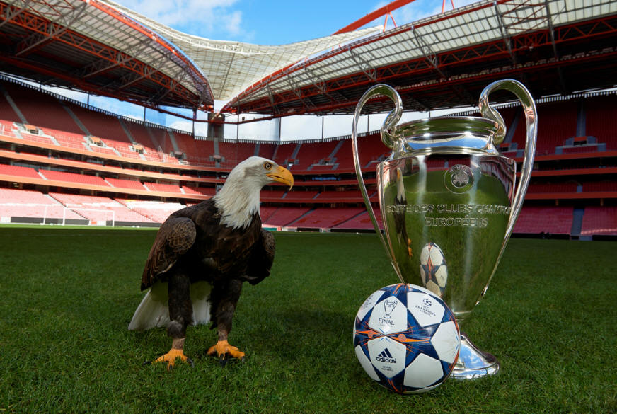 Mourinho acredita que o Benfica pode ser campeão europeu