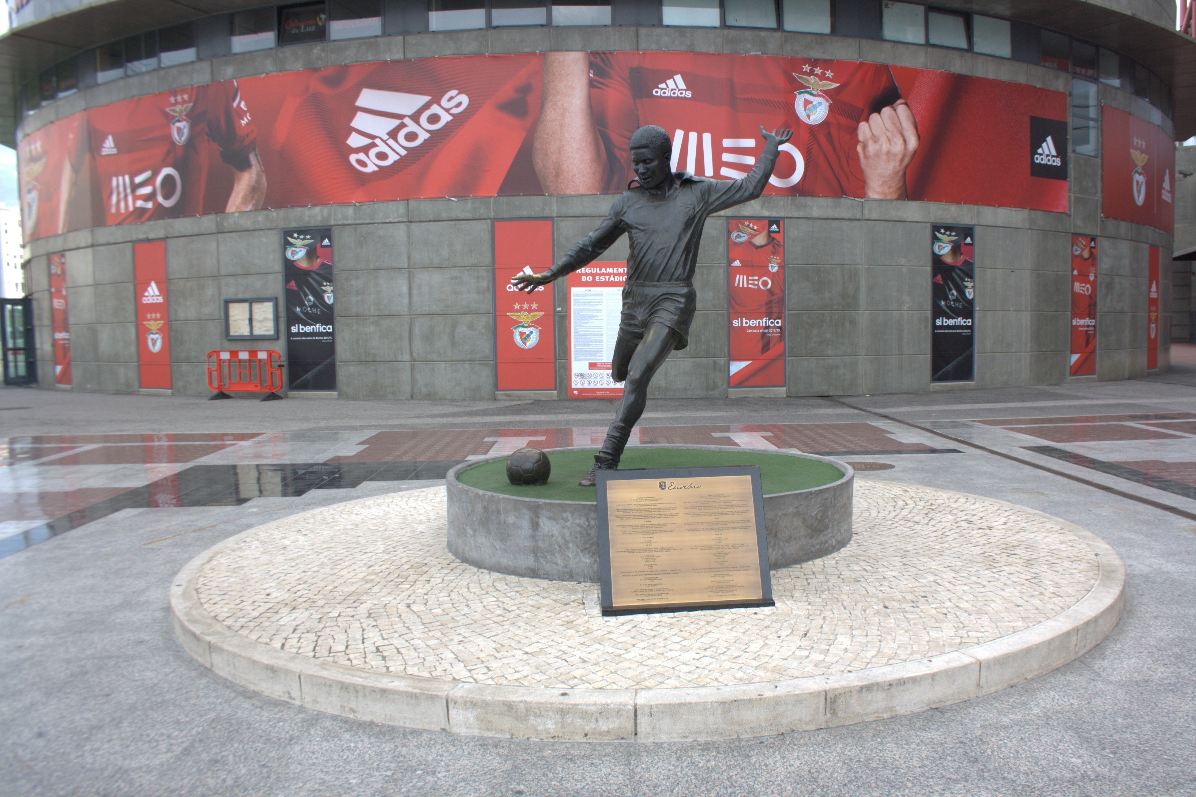 “Se ficar dez anos no Benfica, terá uma estátua ao lado de Eusébio”