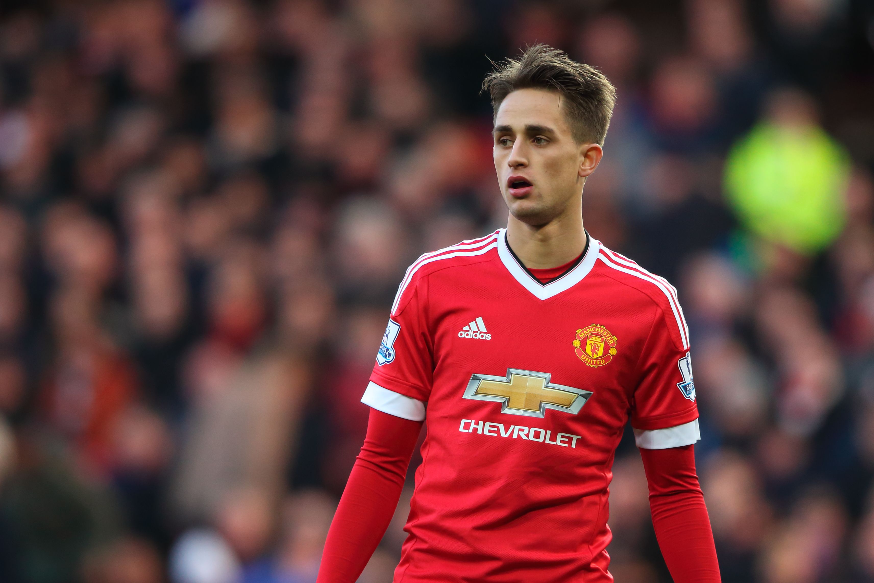 OFICIAL: Januzaj emprestado ao Sunderland