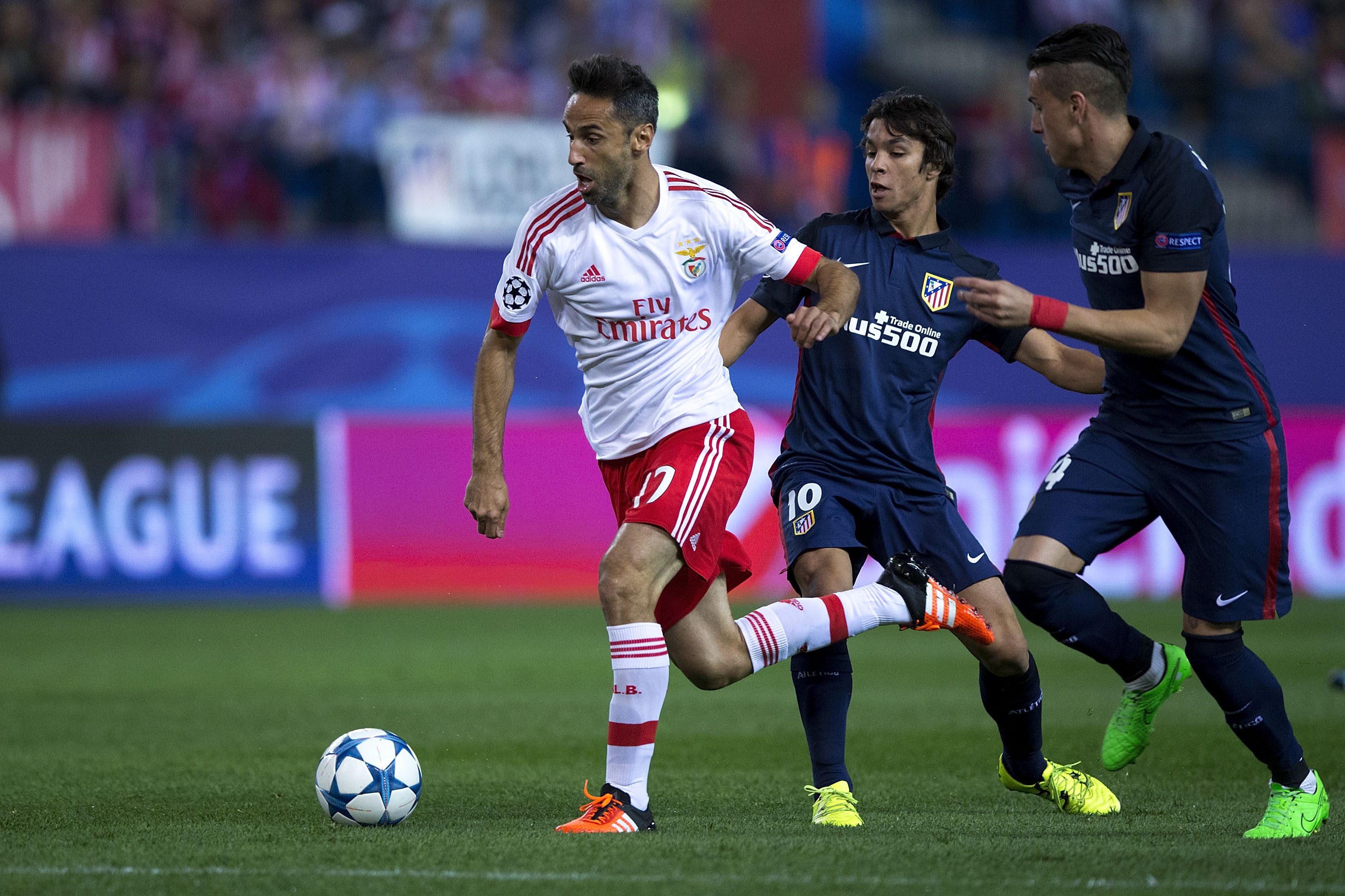 Jonas pode regressar apenas em 2017