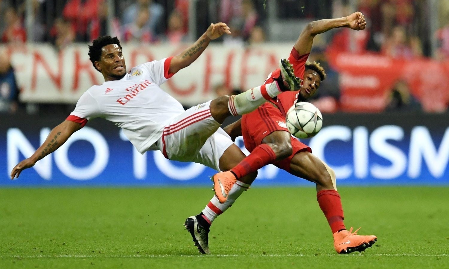 Departamento médico do Benfica tem novo inquilino