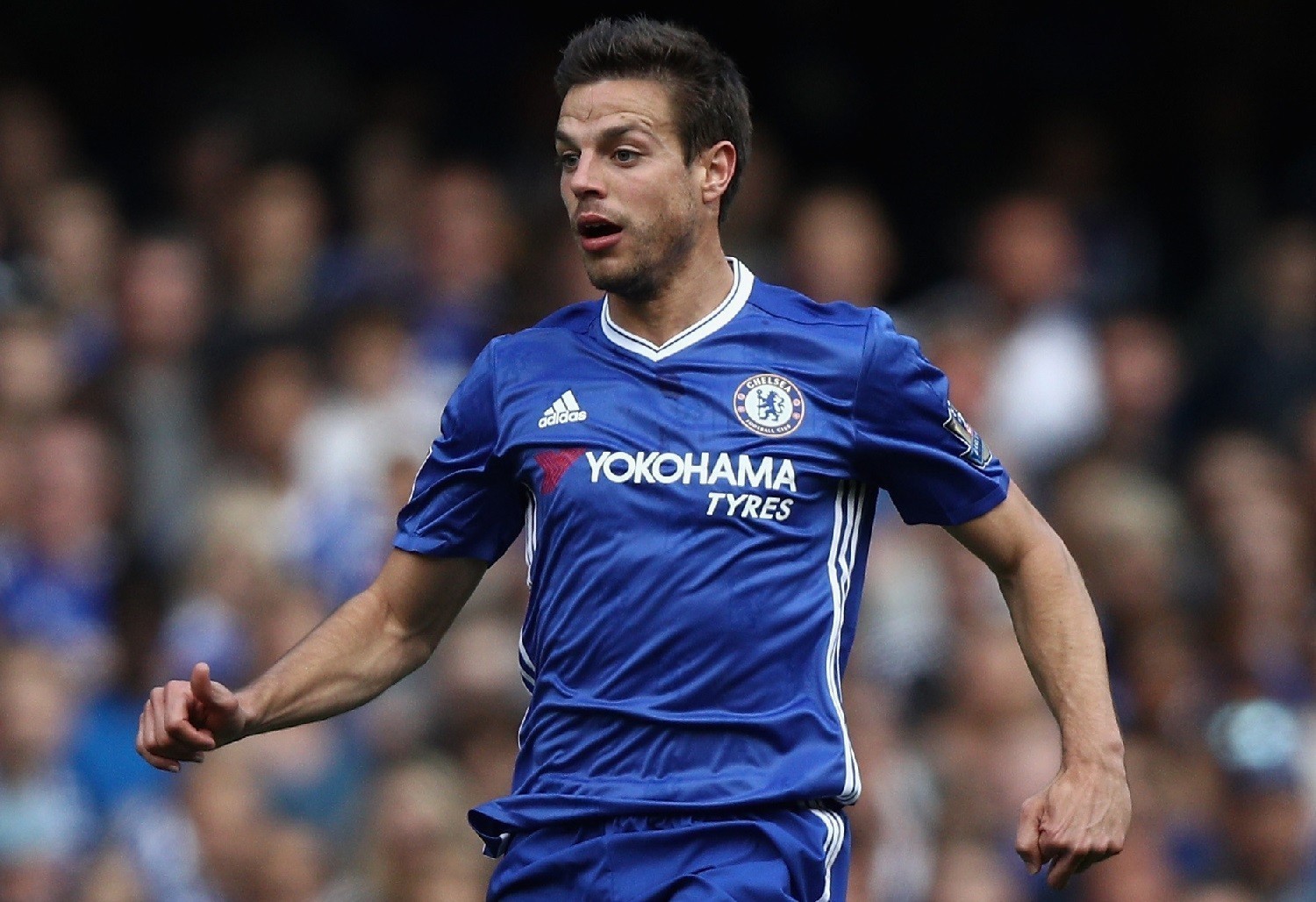 Azpilicueta confirma interesse do Barcelona
