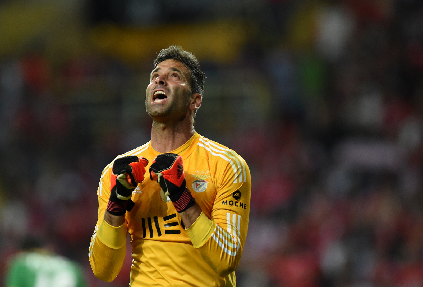 Ex-Benfica: “FC Porto deve ser campeão”