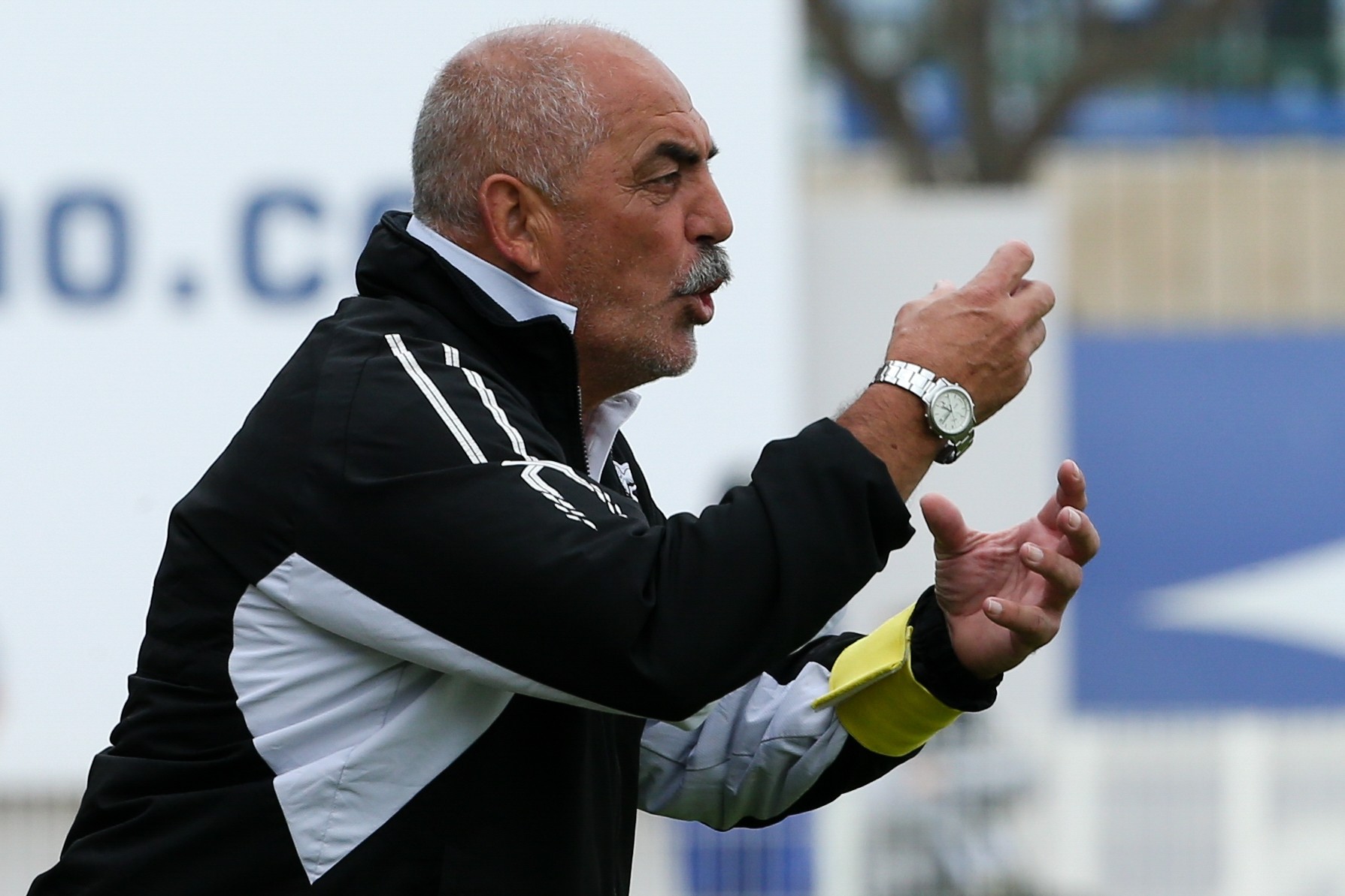 Portimonense regressa à primeira liga