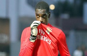 “Trabalha como um animal”