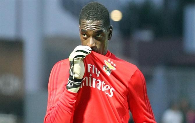 “Trabalha como um animal”