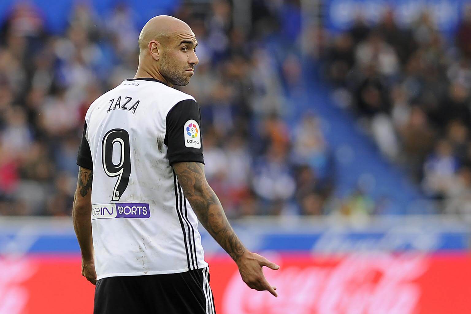 Zaza com mercado em casa.