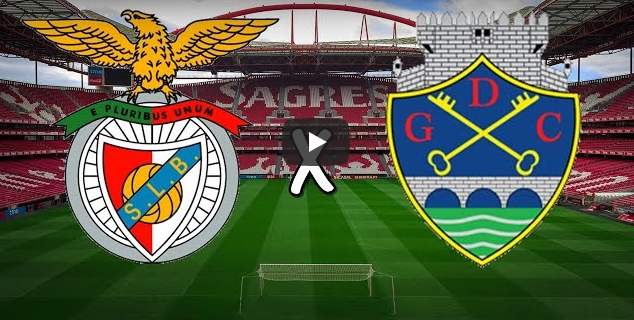 Previsão: Benfica vs Chaves
