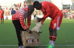Insólito: Faz dois golos e ganha uma galinha como prémio.