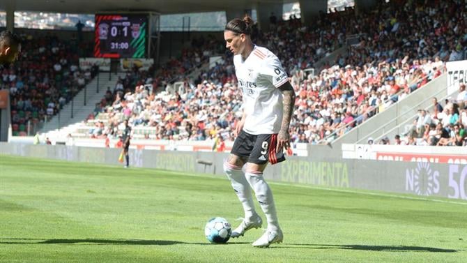 Darwin e golos como ketchup