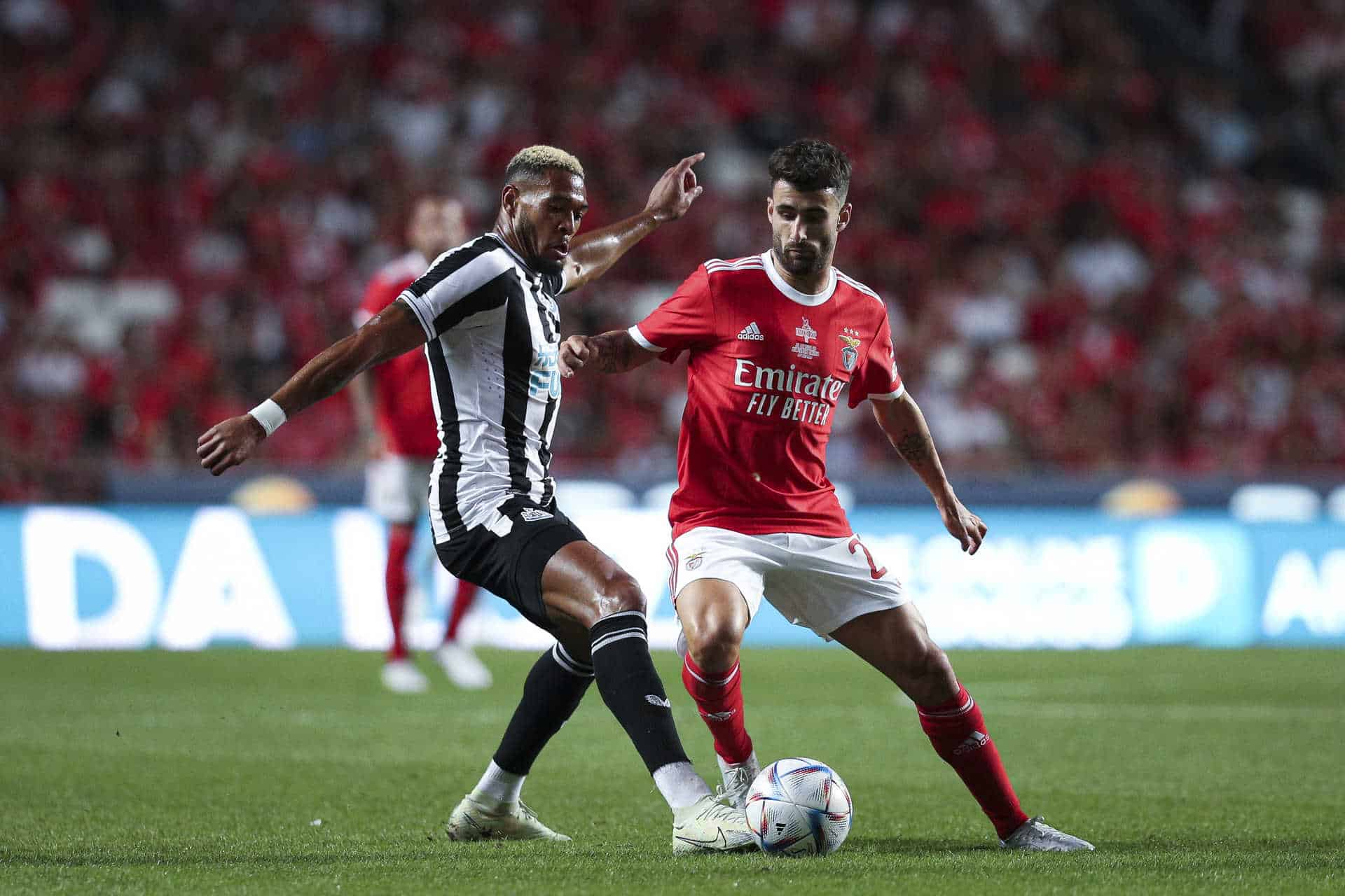 Benfica vence Newcastle e é vencedor da Eusebio Cup
