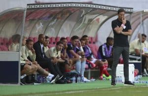 Dois reforços preparam-se para o Benfica de Roger Schmidt