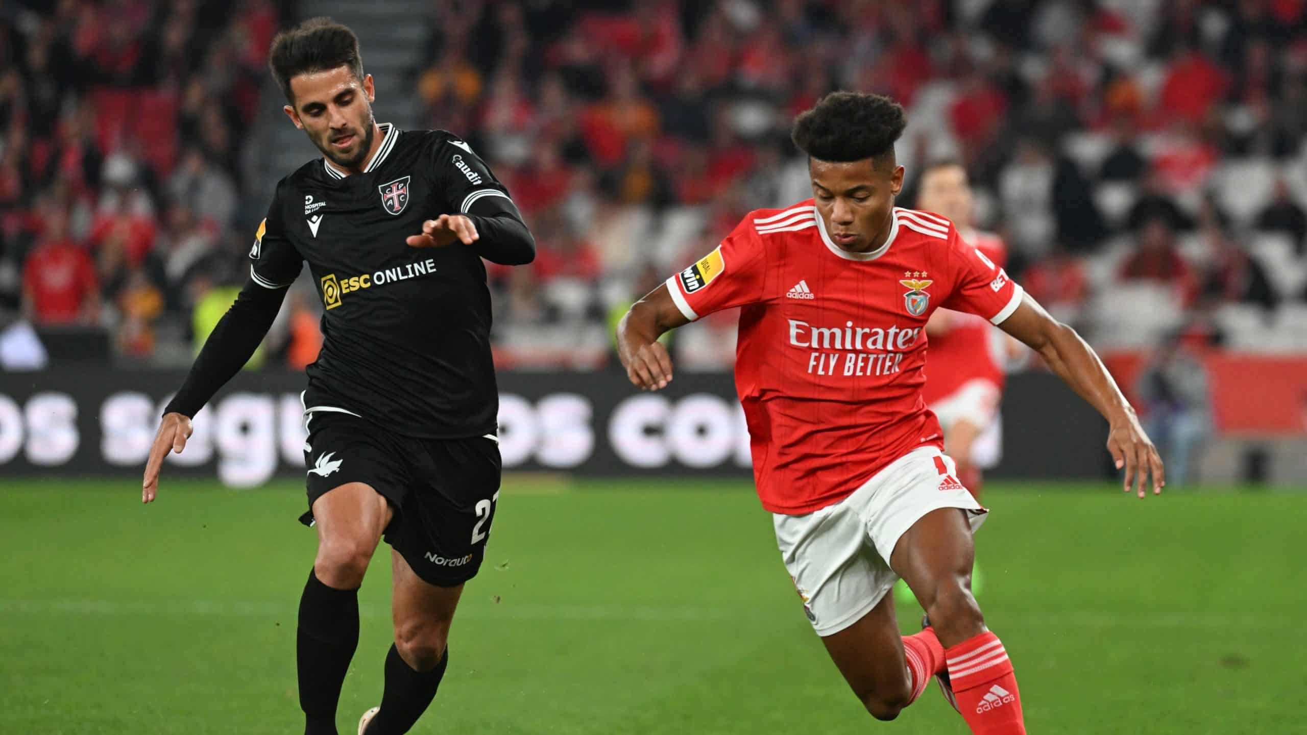 Prognóstico Benfica vs Boavista: Palpite, Transmissão e Dica de Aposta 20/02/2022